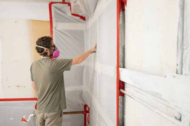 Best Mold Removal for HVAC Installations  in Philmont, NY