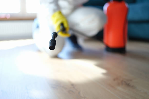 Best Mold Odor Removal Services  in Philmont, NY