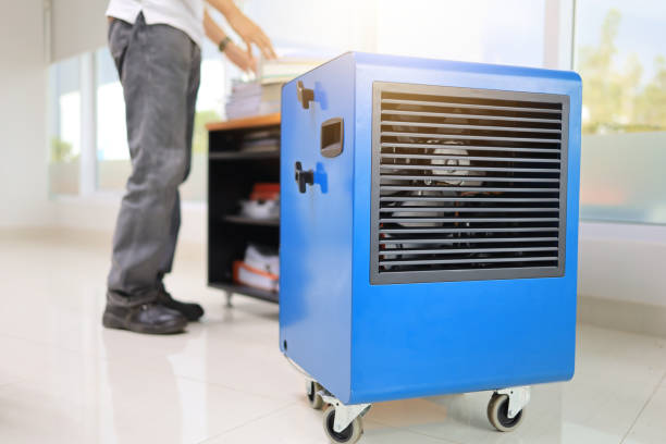 Mold Odor Removal Services in Philmont, NY